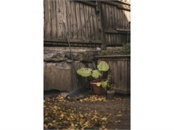 Грабли FISKARS Solid для листьев L (135016) 6944 - фото 62965