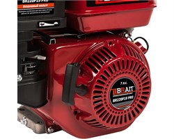 Двигатель BRAIT-220P19 PRO | 7 л.с. | шкив 19мм, длина вала 61.6 мм 7617 - фото 68808