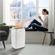 Кондиционер мобильный Ballu Platinum Comfort BPHS-11H 8167