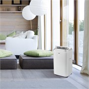Кондиционер мобильный Ballu Platinum Comfort BPHS-08H 8168