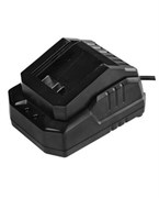 Зарядное устройство DCK FFCL20-02 8265