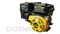 Двигатель Champion G120HK 2975 - фото 10135