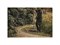 Грабли FISKARS Solid для листьев L (135016) 6944