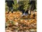 Грабли для газона L Xact FISKARS 6949 - фото 63015