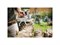 Захватные клещи для бревен WoodXpert FISKARS 6951