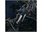 Топор универсальный Norden N7 FISKARS 6971 - фото 63372