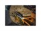 Ножницы кухонные 18 см Classic Fiskars 6998